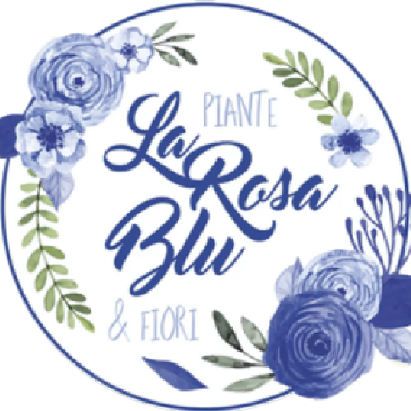 Logo Attività